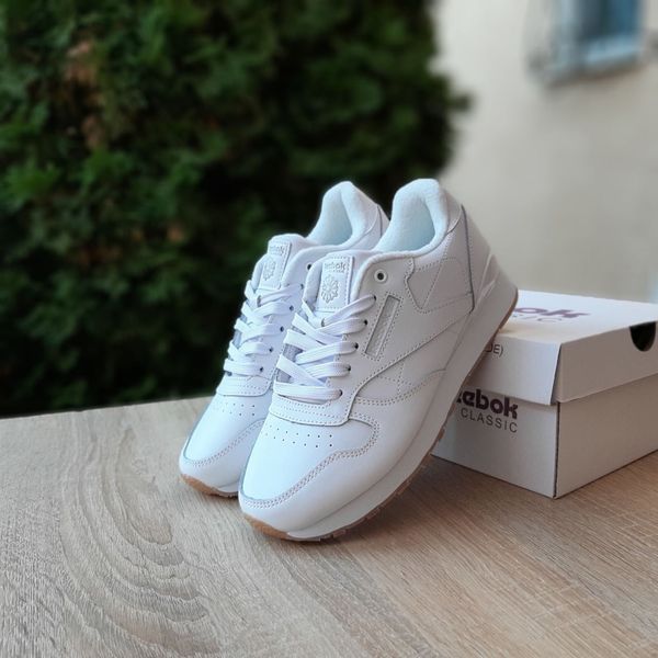 Чоловічі зимові кросівки | Reebok Classic Leather Winter | білі | шкіра | термо/фліс ODRW RB10006-43 фото